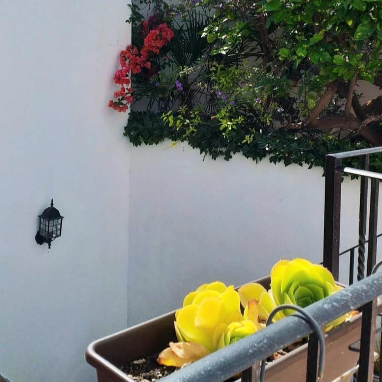 Casa Del Artista-can Roca Ferienhaus Alcúdia